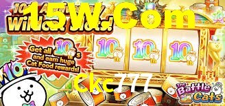Ckc777,Ckc777.Com